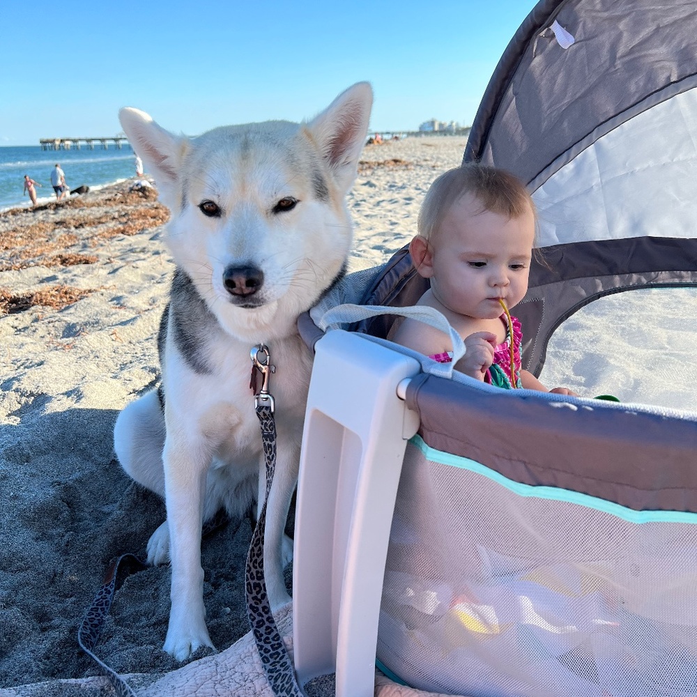 Baby Stuff